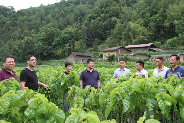 安康市商務(wù)局領(lǐng)導(dǎo)來(lái)我公司調(diào)研春蠶收購(gòu)及扶貧點(diǎn)蠶?；亟ㄔO(shè)情況